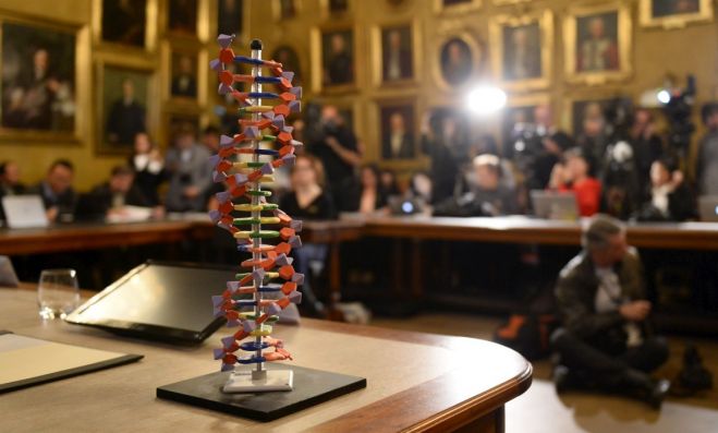 Um modelo que mostra a estrutura do ADN na conferência de anúncio do Nobel da Química 2015JONATHAN NACKSTRAND/AFP