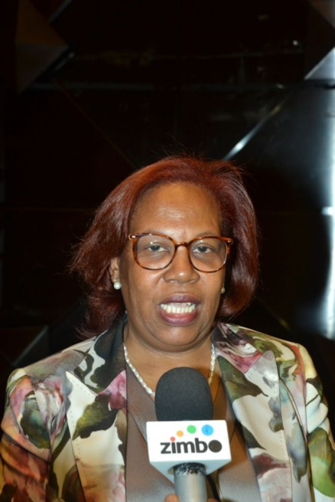Ministra Cândida Teixeira, no encerramento do II Conselho Consultivo do MINCT 2014, em Luanda (FOTO DO CDI)